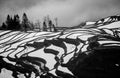 Rice terraces of Yunnan province amid the scenic morning fog. Royalty Free Stock Photo