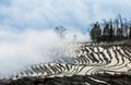 Rice terraces of Yunnan province amid the scenic morning fog. Royalty Free Stock Photo