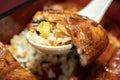 Rice topped with grilled roasted eel, Kabayaki. Image of Japanese food Royalty Free Stock Photo