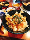 Rice topped with Japanese Shrimp tempura. Royalty Free Stock Photo