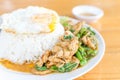 Rice topped with stir-fried chicken and basil Royalty Free Stock Photo