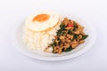 Rice topped with stir-fried chicken, basil and fried egg, fried stir basil with minced chicken on white background Royalty Free Stock Photo