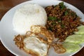 Rice topped with stir-fried pork and basil Royalty Free Stock Photo