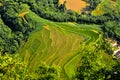 Rice terraced field Royalty Free Stock Photo