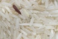 Rice with unmilled rice Royalty Free Stock Photo