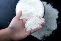 Rice used for sushi. Short Grain Sushi Koshihikari Rice. Royalty Free Stock Photo