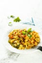 Rice with vegetables Royalty Free Stock Photo