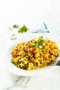 Rice with vegetables Royalty Free Stock Photo