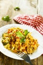 Rice with vegetables Royalty Free Stock Photo