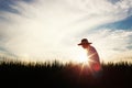 Autumn rice field landscape with ripening grain, farmer and sunset background Royalty Free Stock Photo