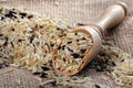 Rice in a wooden scoop  wild brown rice Royalty Free Stock Photo