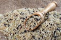Rice in a wooden scoop  wild brown rice Royalty Free Stock Photo