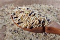 Rice in a wooden scoop  wild brown rice Royalty Free Stock Photo