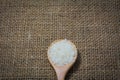 Rice with wooden Spoon on sack background Royalty Free Stock Photo