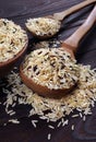 Rice in a wooden spoons . wild brown rice Royalty Free Stock Photo