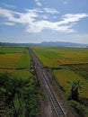 Ricefield beautiful landscape in Tambakboyo from central java Indonesia