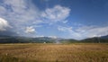 Ricefield after havest season. Summer in Vietnam