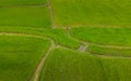 A ricefield and landscape near the city of Takeo in Cambodia