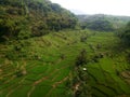 A ricefield lies under the mountain in West Java, Indonesia Royalty Free Stock Photo