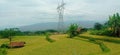 Ricefield ready to harvest in West Java Indonesia Royalty Free Stock Photo