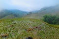 Ricefields in Sapa, Vietnam