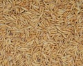 Rices seed background