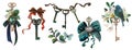 Rich antique keys, jewelry compositions, brooches, bows, keys, flowers, bird Royalty Free Stock Photo