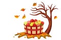 Rich apple harvest in autumn Royalty Free Stock Photo