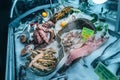 Rich assortment of various fresh Mediterranean fish, shrimps and shellfish on the counter of the sea food restaurant. Concept of Royalty Free Stock Photo