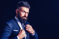 Rich bearded man dressed in classic suits. Elegance casual dress. Fashion suit. Luxury mens clothing. Man in suit