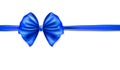 Rich blue bow