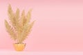 Rich bright interior with gold decorative fern branch in glossy pot on soft light pink background, copy space.