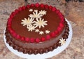 Rich chocolate cake decorated with fresh raspberries