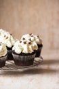 Rich chocolate cupcakes with whipped cream frosting and chocolate chips Royalty Free Stock Photo