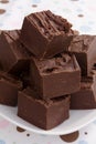 Rich Chocolate Fudge Royalty Free Stock Photo