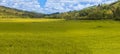 Rich colored ricefield