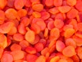 Rich colors of apricots Royalty Free Stock Photo