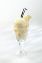 Rich creamy vanilla icecream Royalty Free Stock Photo