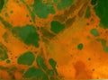 Rich dark orange green background texture, marbled stone or rock textured banner with elegant mottled dark and light orange green Royalty Free Stock Photo