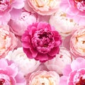 Rich Dense Peony Pattern with Deep Magenta and Pink Hues Royalty Free Stock Photo