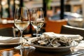 Rich dinner with oysters and wine in Italian restaurant Royalty Free Stock Photo