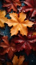 Rich fall foliage contrasts against a dark canvas, a symphony of colors
