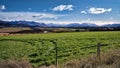 Otago farmland