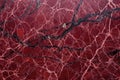 rich garnet red marble surface with black veins Royalty Free Stock Photo