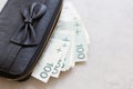 Rich girl or woman from Poland, black purse with a bow, full of polish money. Royalty Free Stock Photo