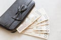 Rich girl or woman from Poland, black purse with a bow, full of polish money. Royalty Free Stock Photo