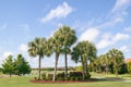 Rich golf course in Southwest Florida Royalty Free Stock Photo