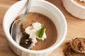 Rich Gourmet Homemade Chocolate Mousse Dessert