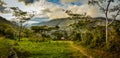 Rich greenery in Wamena