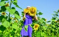 Rich harvest and agriculture. happy childhood. kid wear straw summer hat. child in field of yellow flowers. teen girl in Royalty Free Stock Photo